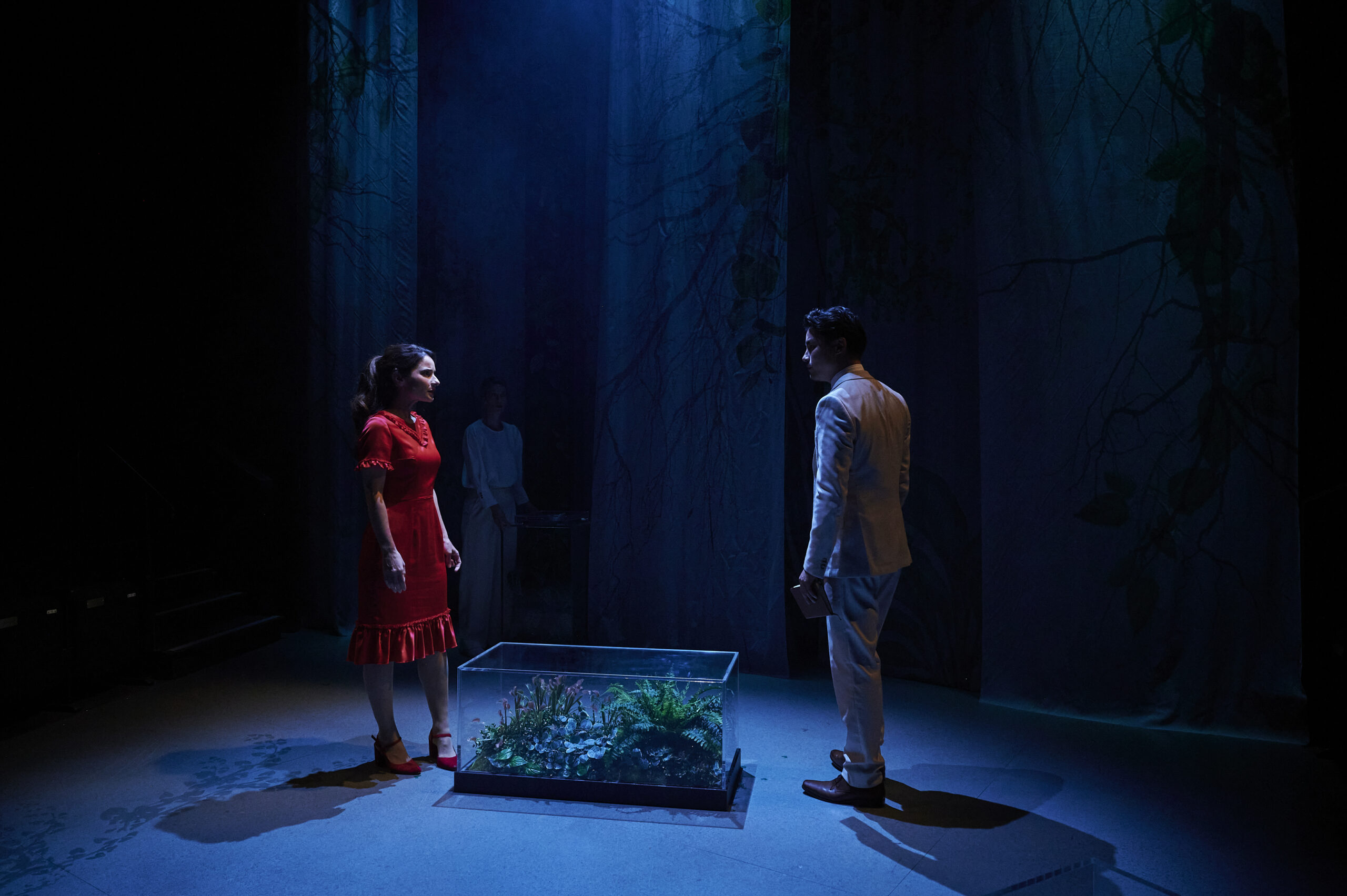 A woman in a red dress and a man in a light suit stand facing each other on a dark stage, illuminated by blue light, with a glass box containing plants between them and another person sitting in the background.