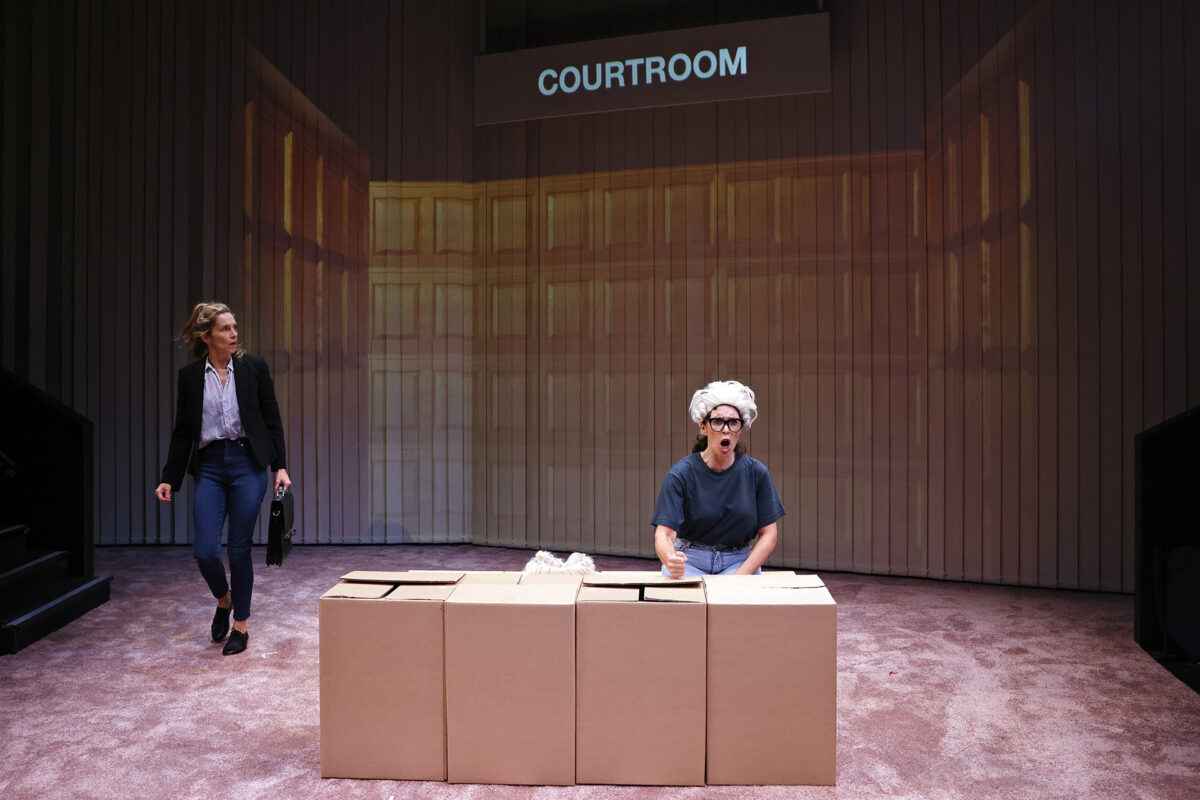 A stage scene labelled COURTROOM shows a woman in business attire holding a briefcase and walking, while a person with a white wig and glasses sits behind three large cardboard boxes, mimicking a judge.